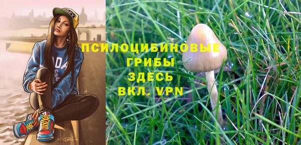 прущие крисы Балабаново